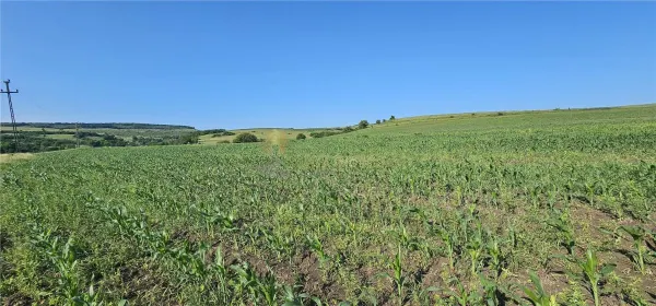 Teren Suceagu - poza 1