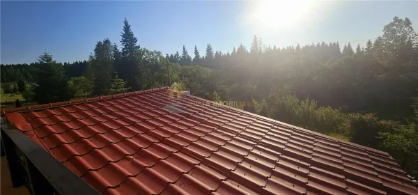 Casă 8 camere Belis - poza 23
