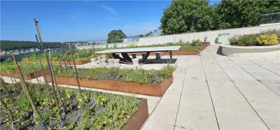 APARTAMENT 1 CAMERA | 37 MP | BALCON 8MP | WINGS TOWER | - foto 13
