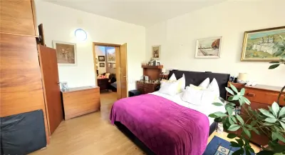CASA 5 CAMERE 145 MP TEREN 660 MP DAMBUL ROTUND - foto 9