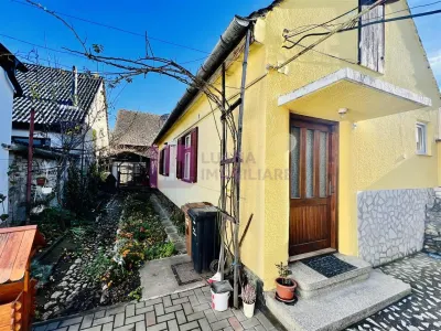 Casa individuala de vanzare  - Turnisor - teren 292 mp - foto 4