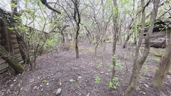 Casă 4 camere Cluj-Napoca - poza 8