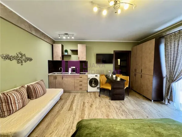 Apartament 1 camera Sibiu - poza 4