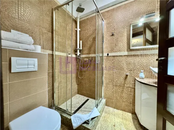 Apartament 1 camera Sibiu - poza 5