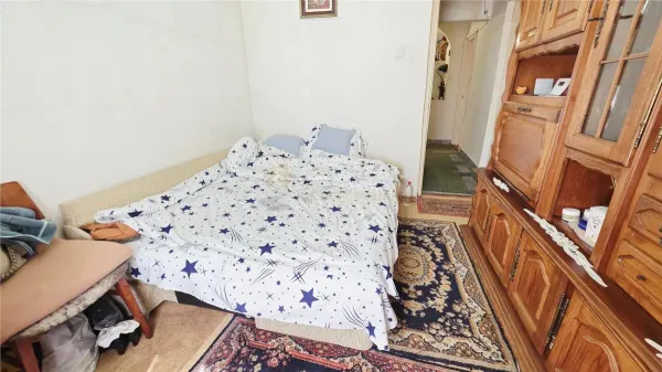 Apartament 3 camere Cluj-Napoca - poza 11