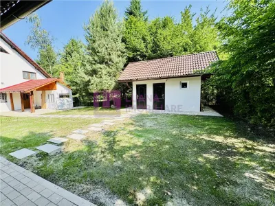 Casa de vacanta | Pensiune | 7 camere | Valea Avrigului | teren 1000 mp | video - foto 14