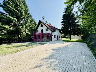 Casa de vacanta | Pensiune | 7 camere | Valea Avrigului | teren 1000 mp | video - foto 16