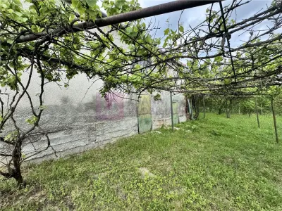 Casa individuala de vanzare in Nucet | Rosia | teren 1526 mp | livada, pivnita - foto 3