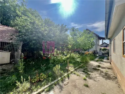 Casa de vanzare  | 2 constructii | 540 mp teren |  zona Lupeni | pivnita - foto 12