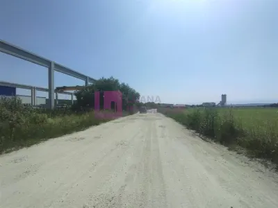 Teren intravilan 6000 mp | Cristian | zona Fermei Avicola - foto 3