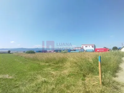Teren intravilan 6000 mp | Cristian | zona Fermei Avicola - foto 5