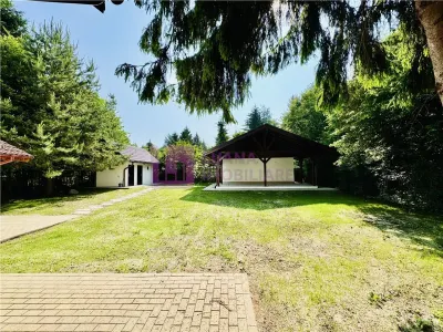 Casa de vacanta 7 camere | Valea Avrigului | teren 1000 mp | video - foto 11