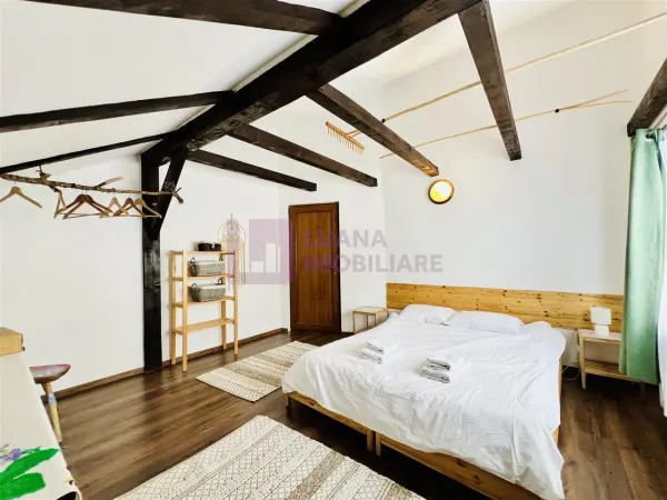 Hotel/Pensiune Paltinis - poza 14