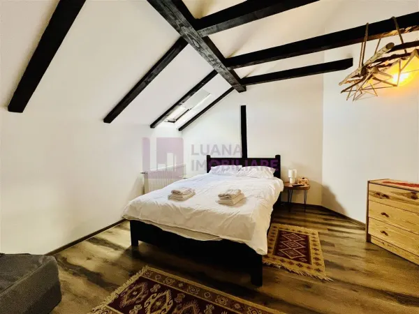 Hotel/Pensiune Paltinis - poza 16