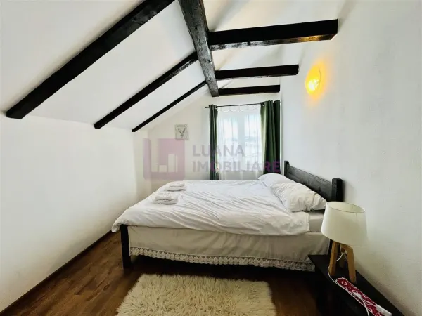 Hotel/Pensiune Paltinis - poza 18