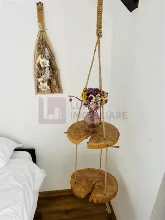 Hotel/Pensiune Paltinis - poza 19