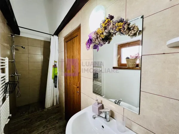 Hotel/Pensiune Paltinis - poza 20