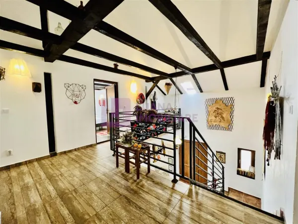 Hotel/Pensiune Paltinis - poza 23