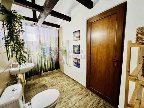 Hotel/Pensiune Paltinis - poza 8