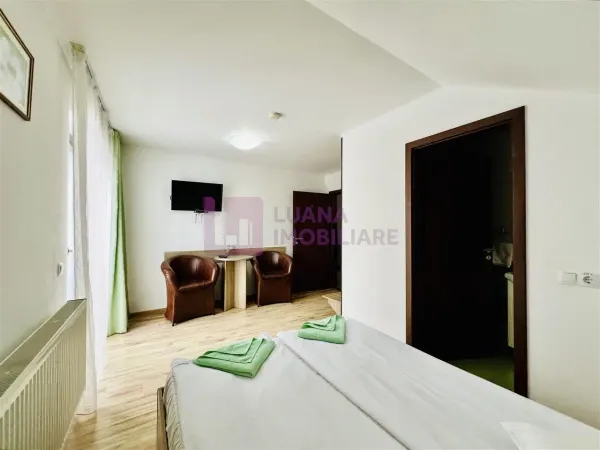 Hotel/Pensiune Paltinis - poza 14