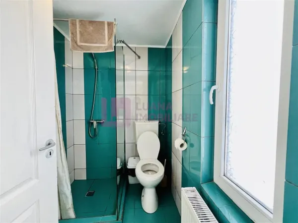 Hotel/Pensiune Paltinis - poza 20