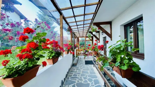 Hotel/Pensiune Paltinis - poza 4