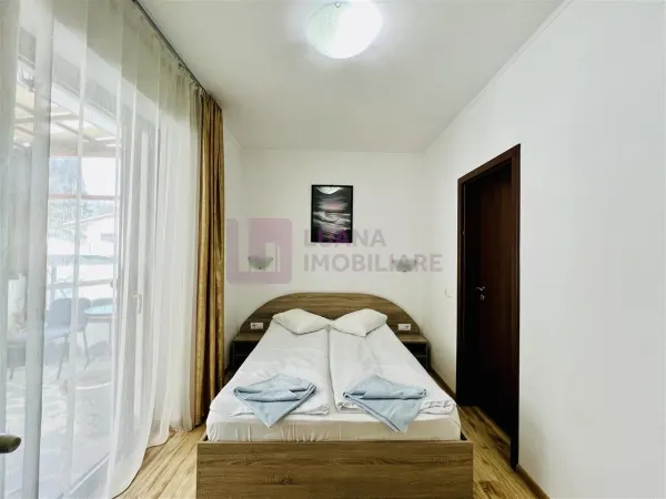 Hotel/Pensiune Paltinis - poza 6