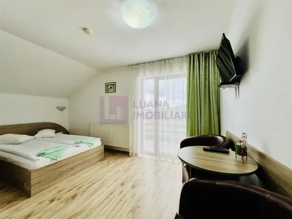 Hotel/Pensiune Paltinis - poza 7