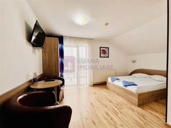 Hotel/Pensiune Paltinis - poza 8