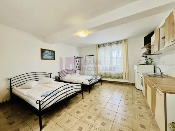 Hotel/Pensiune Paltinis - poza 9