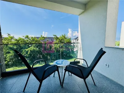 Garsoniera PREMIUM de inchiriat | zona Vest DaVinci | prima inchiriere | video - foto 9