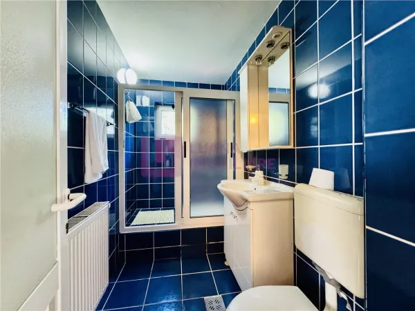Casă 6 camere Avrig - poza 13
