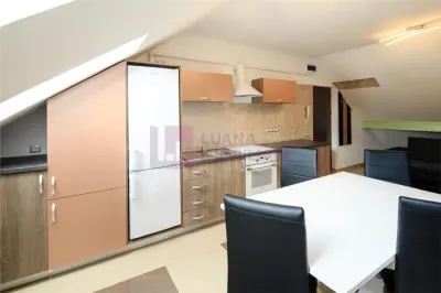 Apartament cu 2 camere de inchiriat | la vila | PREMIUM | zona Moldoveanu - foto 2