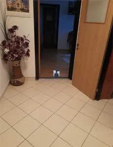 Vanzare Apartament 3 Camere Semidecomandat Luica-Uioara - Bucuresti