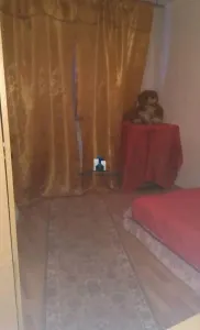 Apartament 2 Camere Decomandat Berceni-Izvorul Oltului - foto 5