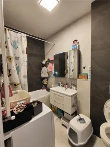 Apartament 4 camere Berceni - Odei Cavar - foto 12