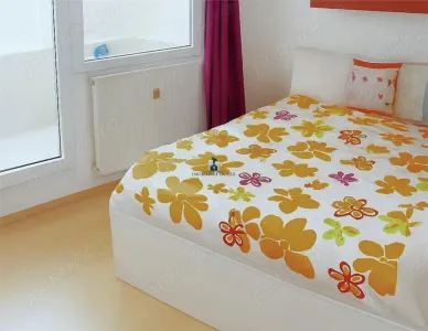 Vanzare Apartament 3 Camere Decomandat Berceni-Izvorul Crisului - foto 2