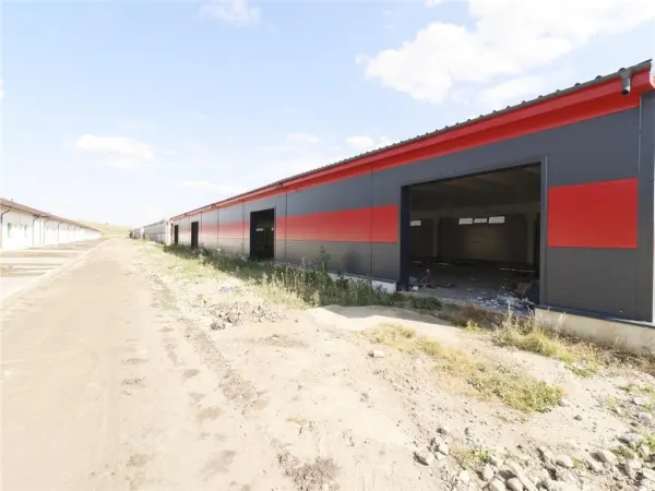 Spațiu industrial Iași - poza 1