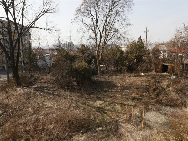 Casă 14 camere Iași - poza 5