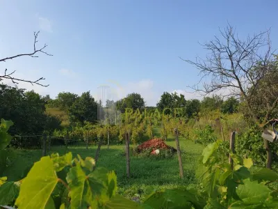 Teren intravilan cu constructii existente 5300 mp – Chiperesti Iasi - foto 4