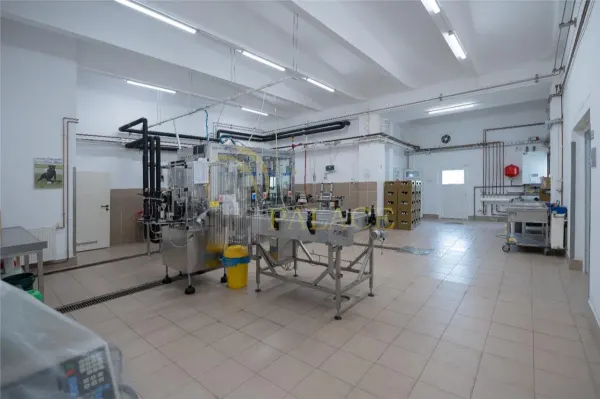 Spațiu industrial Tomești - poza 3