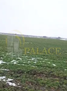 Teren agricol 100 ha| Comasat 100%| Categoria A1 - foto 1