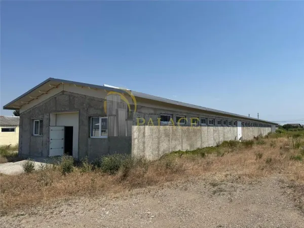 Spațiu industrial Horlesti (Rediu) - poza 4