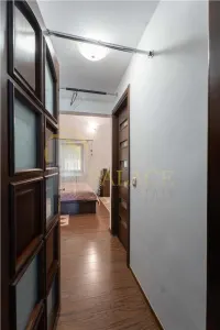 Vila individuala premium, cu personalitate si gradina matura, Bucium, Iasi - foto 7