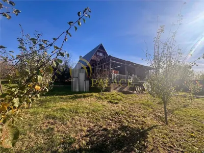Proprietatea deosebita cu 4000mp teren, Barnova - foto 2