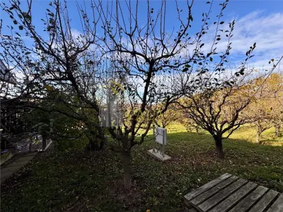 Proprietatea deosebita cu 4000mp teren, Barnova - foto 7