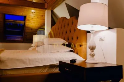 Pensiune exclusivista | afacere tip boutique la cheie | de inchiriat in Sinaia | - foto 8