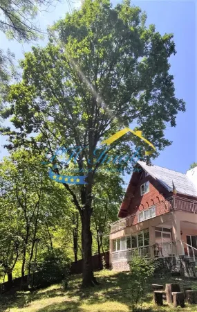 Casă 6 camere Breaza - poza 15