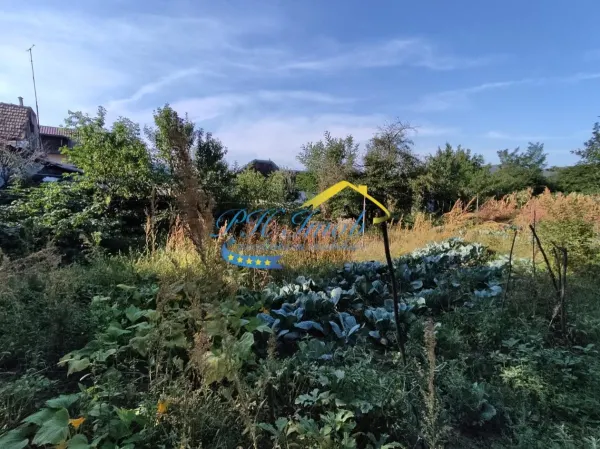 Casă 4 camere Banesti - poza 6