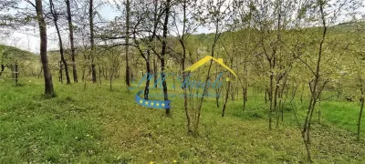Casa de vanzare, Breaza - foto 2